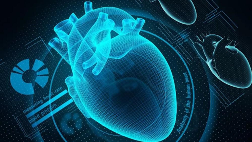 Digitalización DEL CUERPO HUMANO 1