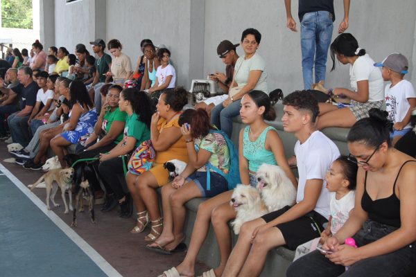 Más de 2 Mil Mascotas Atendidas: Exitosa Jornada de Bienestar Animal en Soledad