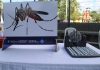 Casos de dengue caen un 76 % en Soledad: Secretaría de Salud alerta por temporada crítica de mosquitos