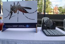Casos de dengue caen un 76 % en Soledad: Secretaría de Salud alerta por temporada crítica de mosquitos