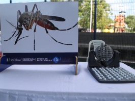 Casos de dengue caen un 76 % en Soledad: Secretaría de Salud alerta por temporada crítica de mosquitos
