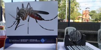 Casos de dengue caen un 76 % en Soledad: Secretaría de Salud alerta por temporada crítica de mosquitos