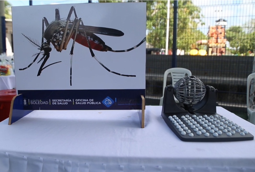 Casos de dengue caen un 76% en Soledad Secretaría de Salud alerta por temporada crítica de mosquitos