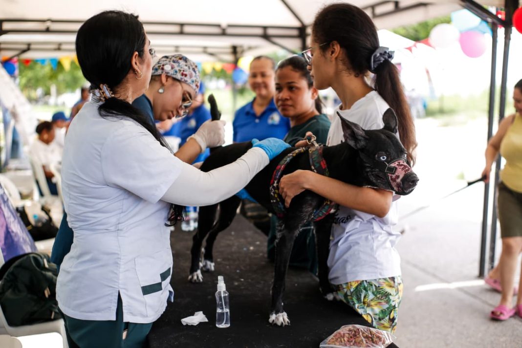 Más de 400 mascotas recibieron atención veterinaria gratuita en Costa Hermosa, Soledad