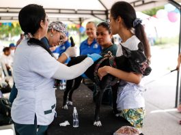 Más de 400 mascotas recibieron atención veterinaria gratuita en Costa Hermosa, Soledad