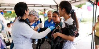 Más de 400 mascotas recibieron atención veterinaria gratuita en Costa Hermosa, Soledad