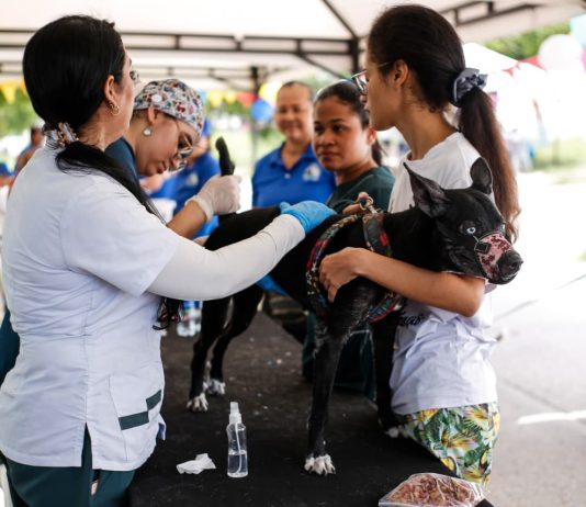 Más de 400 mascotas recibieron atención veterinaria gratuita en Costa Hermosa, Soledad