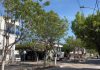 Bulevar de Los Robles luce renovado tras intervención de Edumas en Soledad