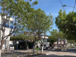 Bulevar de Los Robles luce renovado tras intervención de Edumas en Soledad