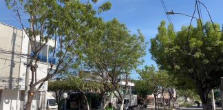 Bulevar de Los Robles luce renovado tras intervención de Edumas en Soledad