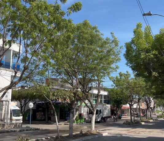 Bulevar de Los Robles luce renovado tras intervención de Edumas en Soledad
