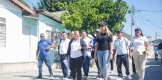 Soledad combate el dengue con peces que eliminan las larvas del mosquito transmisor